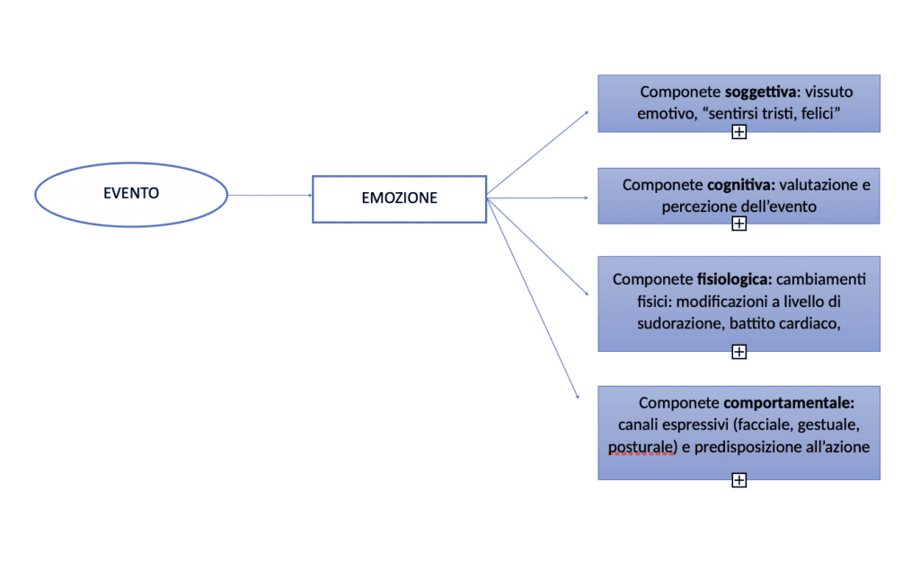 schema del funzionamento delle emozioni schema del funzionamento delle emozioni