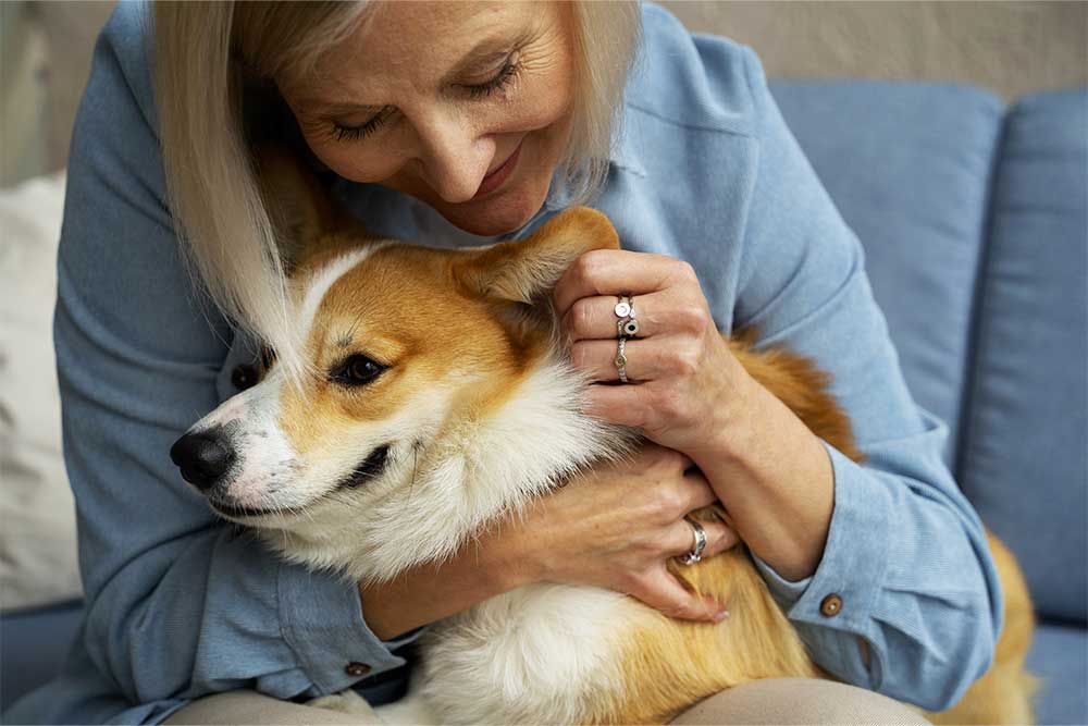 Pet Therapy