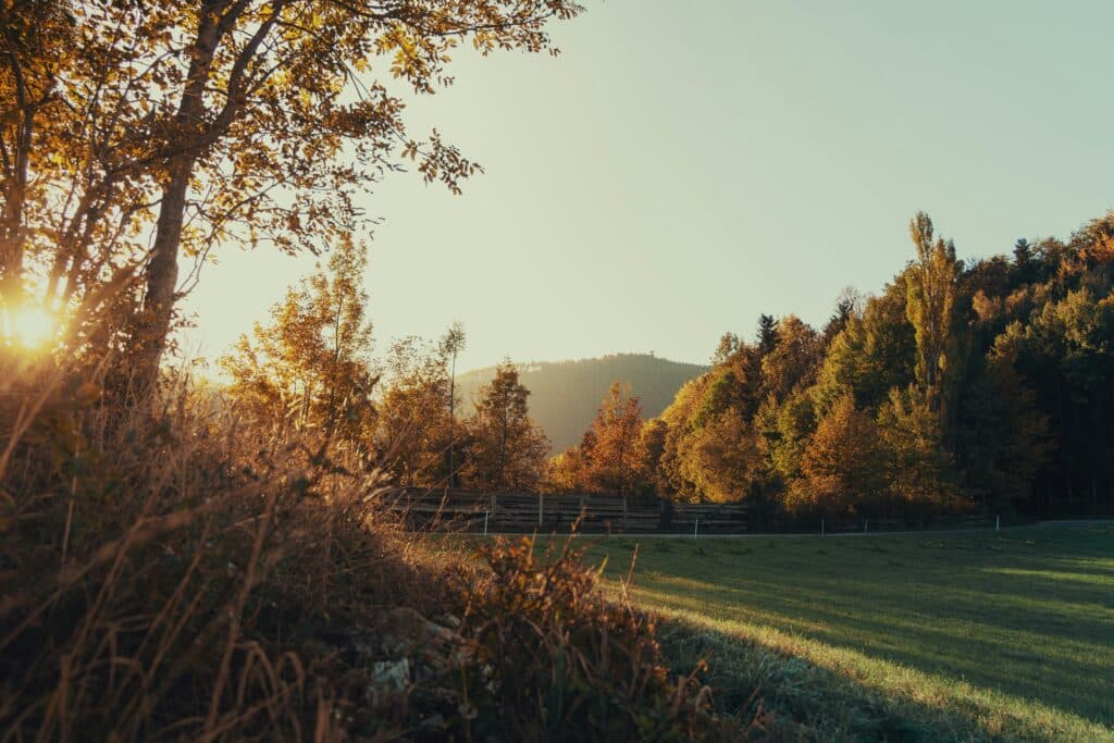 Paesaggio autunnale illuminato dal sole, immagine legata alla stagionalit&agrave; e al ritmo circadiano.
