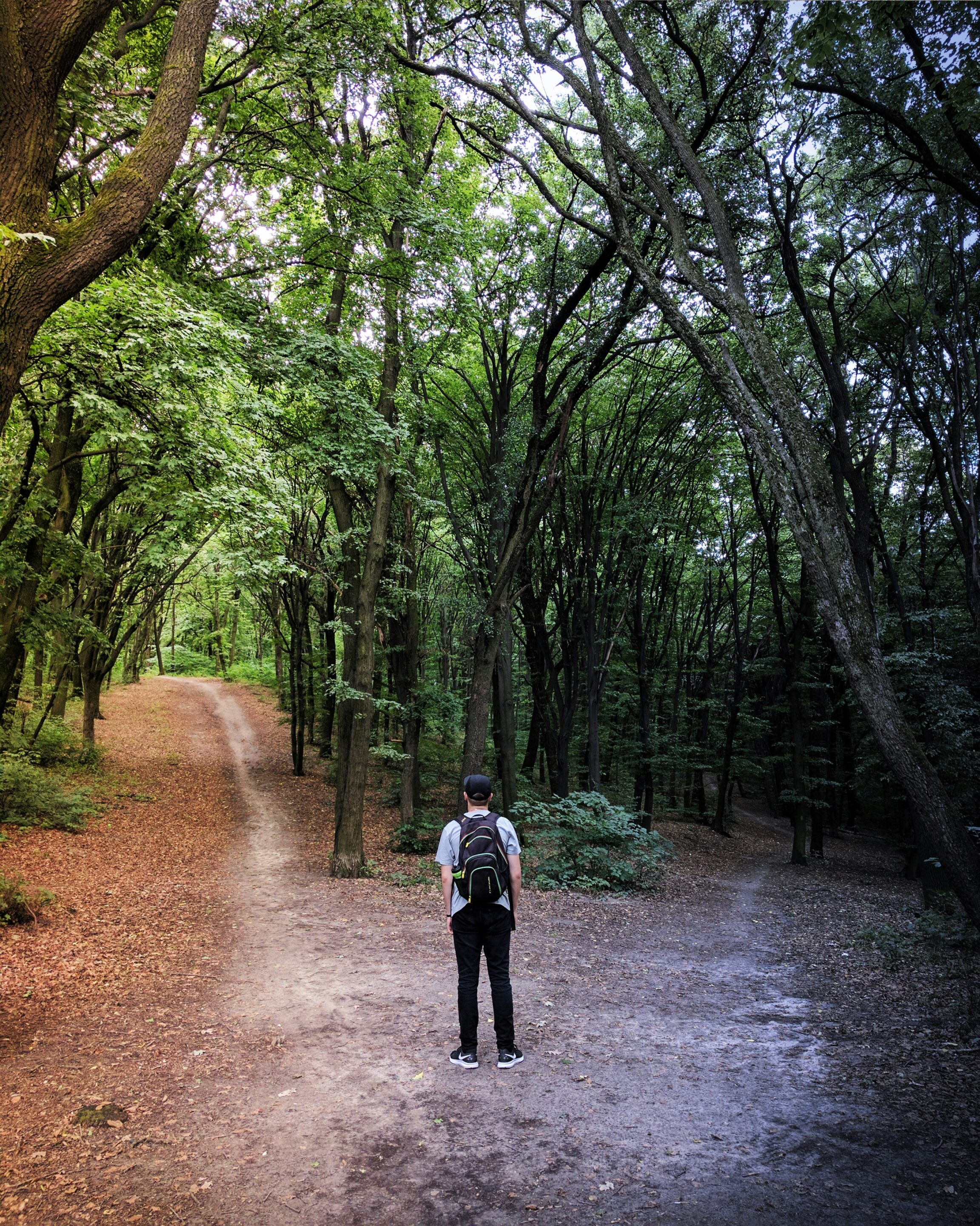 Una persona ferma davanti a due sentieri nel bosco, immagine simbolica dell&rsquo;incertezza davanti a una scelta.
